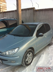 Peugeot 206 краш тест