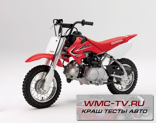 Honda CRF50 — лучший пит-байк