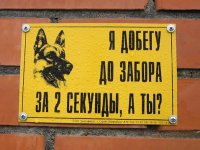 Статусы про авто
