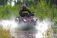 Квадроциклы cfmoto